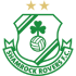 Shamrock Rovers Flag