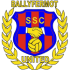 Ballyfermot United Flag