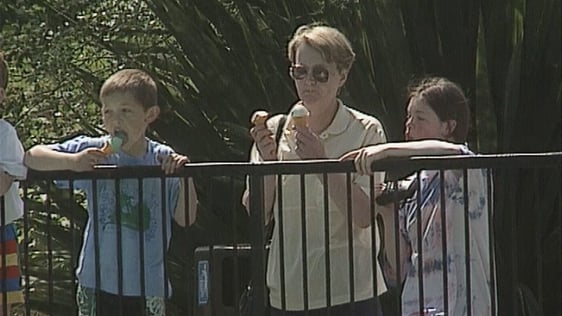 Woman and children eating ice cream in Dublin Zoo (1993) Woman and children eating ice cream in Dublin Zoo (1993)