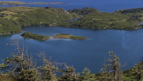 Lough Hyne Marine Nature Reserve in west Cork. Photo: Valerio Micaroni