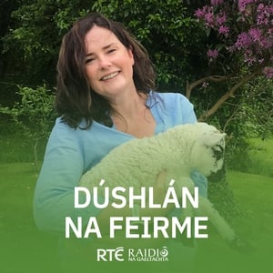 Dúshlán na Feirme