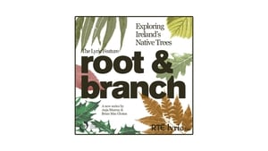 Root and Branch