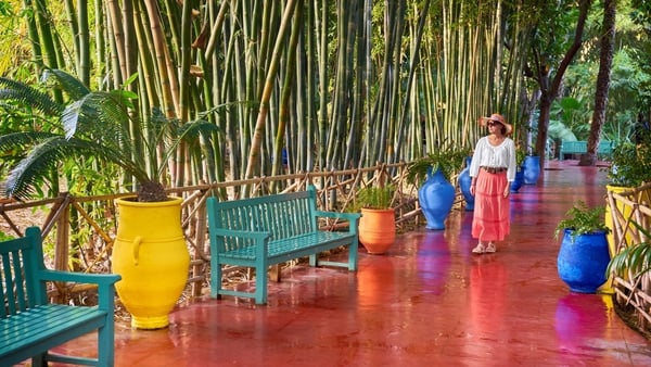 Jardin Majorelle, Marrakech, Morocco.