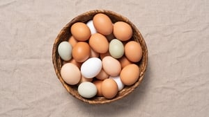 EGGS -  Brian McDermott Recipes