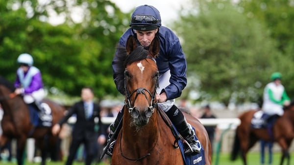 City Of Troy suffered the only defeat of his career on his seasonal reappearance in the 2000 Guineas