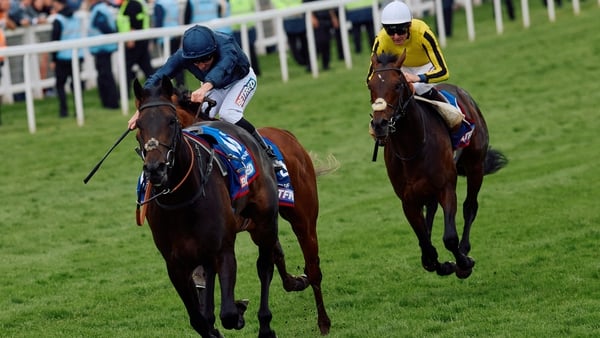 City Of Troy is an odds-on favourite for the Group One at Sandown