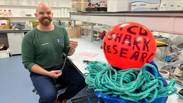 Dr Nick Payne from Trinity College Dublin prepares satellite tags to be deployed during the OCEARCH expedition in September