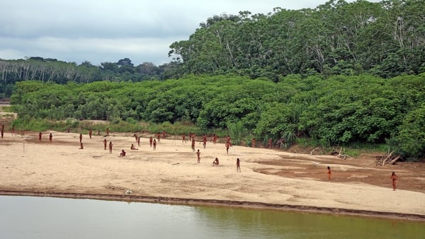 The Mashco Piro were photographed at the end of June on the banks of a river in the Madre de Dios region (Pics: Survival International)